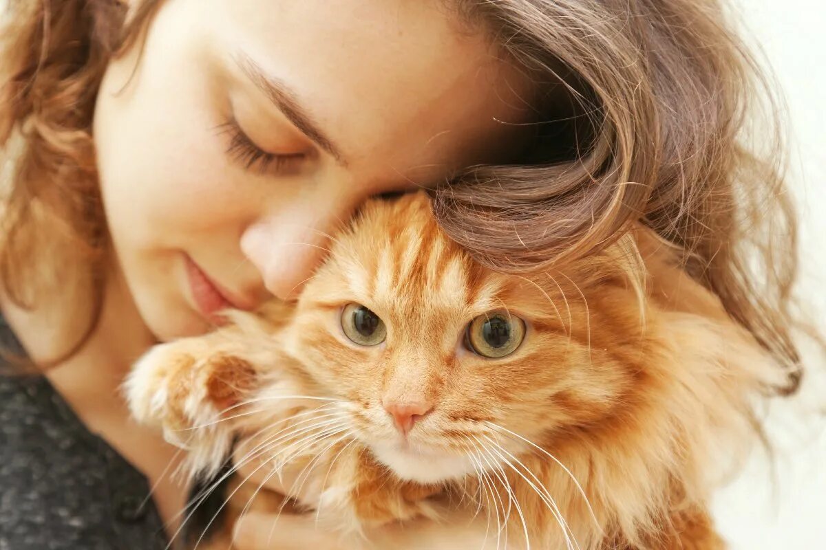 Девочка с котом. Девочка с рыжим котом. женщина с кошкой. рыжий котенок девочка.