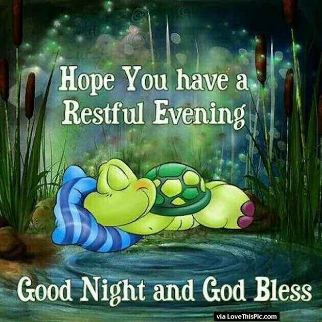 Good evening do you have a. Доброй ночи черепашка. Сладких снов лягушка. Доброй ночи с черепахами. Сладких снов с черепахами.