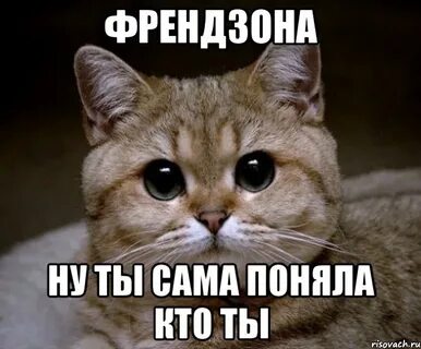Что тут такова