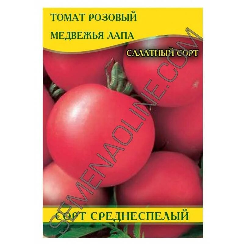 Сорт помидор медвежья лапа. Помидоры Медвежье ушко. Сорт помидор медвежья лапа розовый. Томат медвежья лапа характеристика.