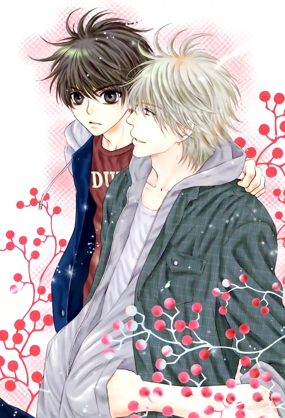 Super lovers Кайдо Хару. Super lovers Кайдо Хару и РЕН. Super lovers Хару и РЕН Манга. Super lovers Хару и РЕН поцелуй.