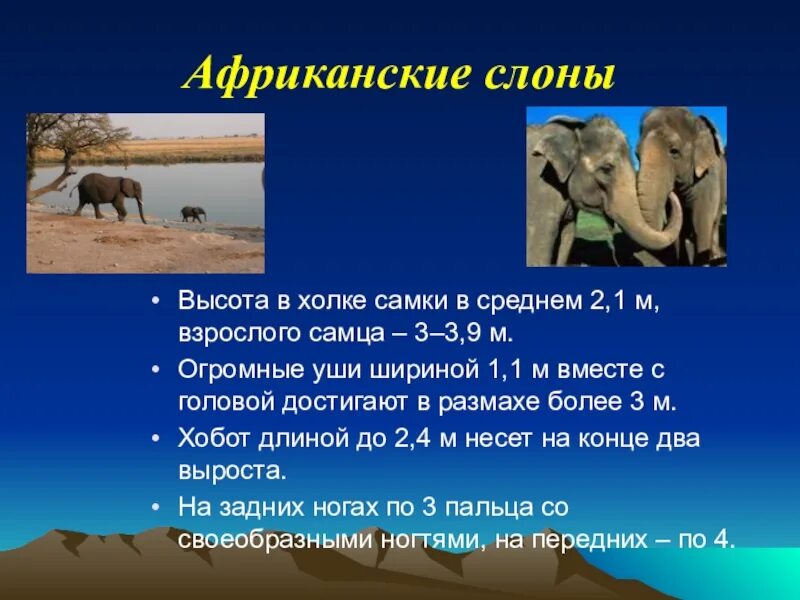 Разнообразие природы африки 7 класс презентация. Африка животные и растения презентация. растительный и животный мир африки. презентация на тему африканские животные. животные африки презентация.