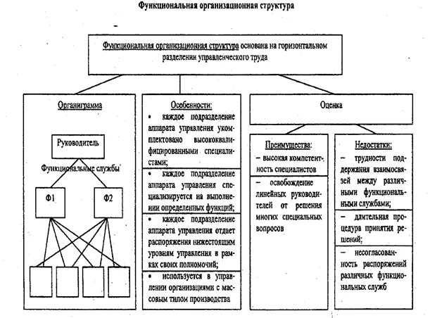 Функции теории управления. Функция организации базируется на. Функции управления организацией менеджмент. Принципы формирования функции организации. Цели делегирования в менеджменте.