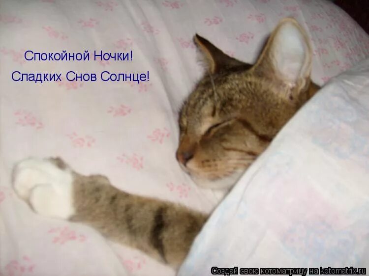 добрых снов сыночек. доброй ночи сладких снов. спокойной ночи солнышко. сказочная ночь. спокойной ночи солнышко.