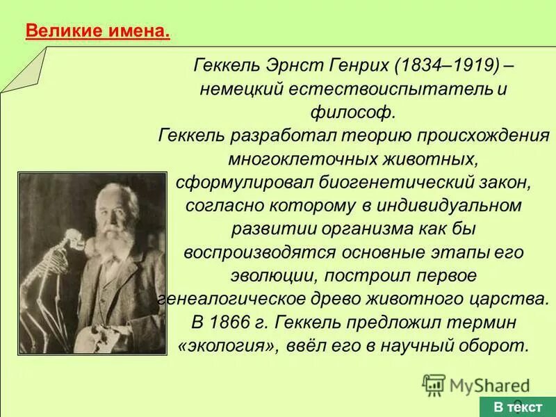 Геккель и и. Биогенетический закон онтогенеза. Биогенетический закон геккеля мюллера. Геккель сформулировал закон. Биогенетический закон геккеля мюллера.
