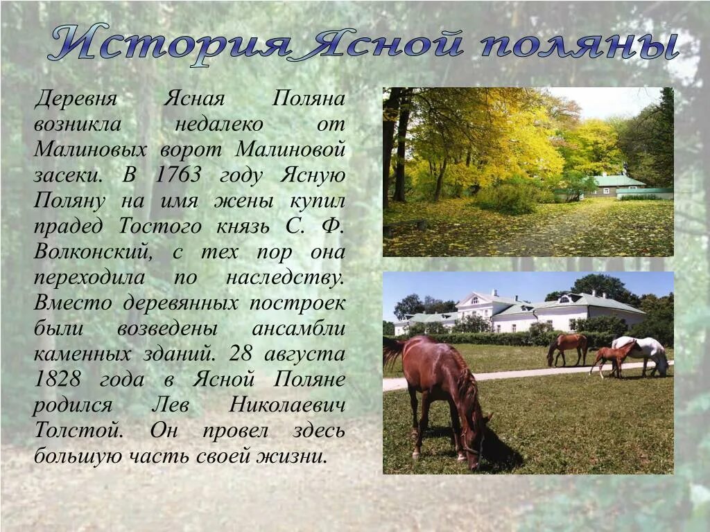 В ясную жизнь где