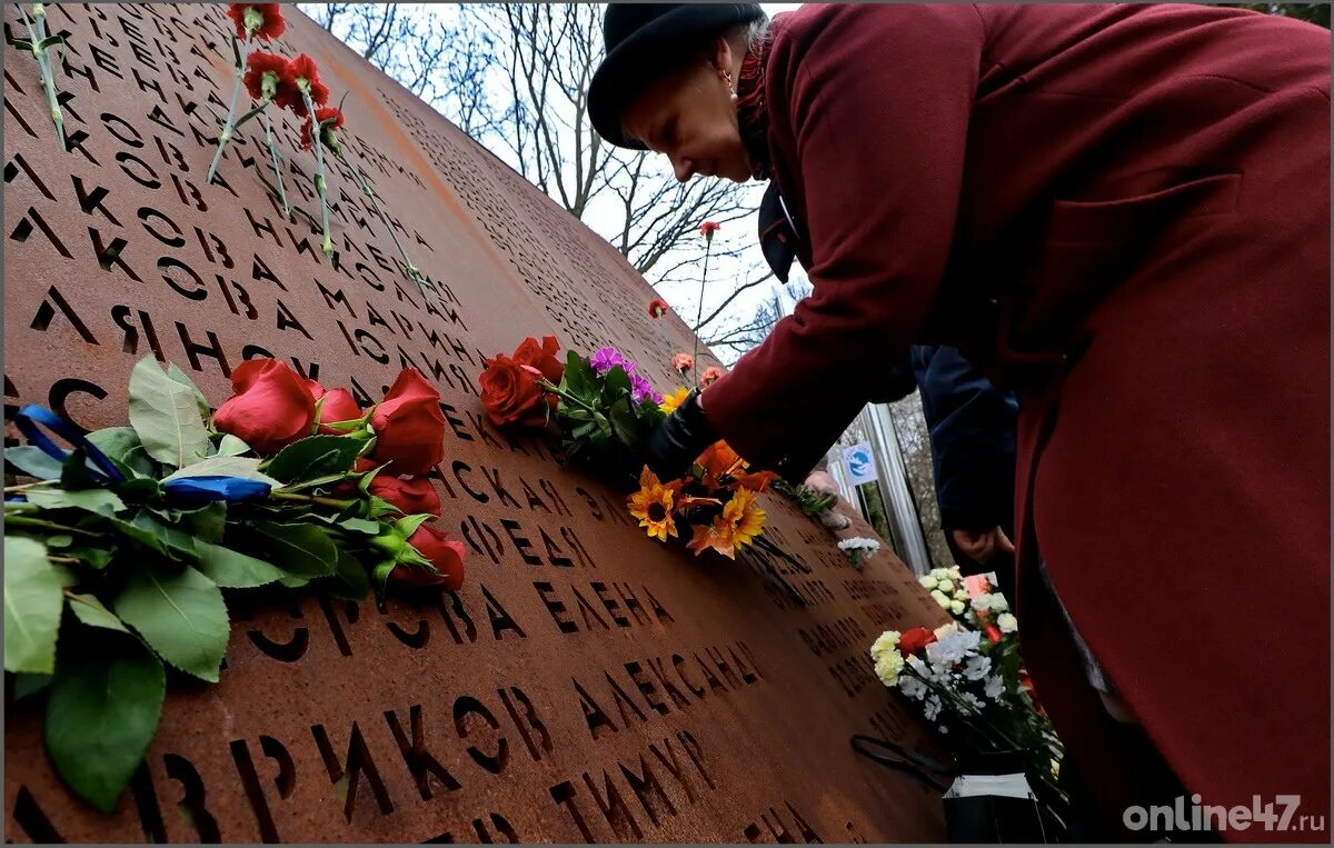 Памяти погибшим над Синаем. 2015 Год авиакатастрофа над Синайским полуостровом. Авиакатастрофа над Синайским полуостровом 31 октября. Октябрь 2015 года авиакатастрофа