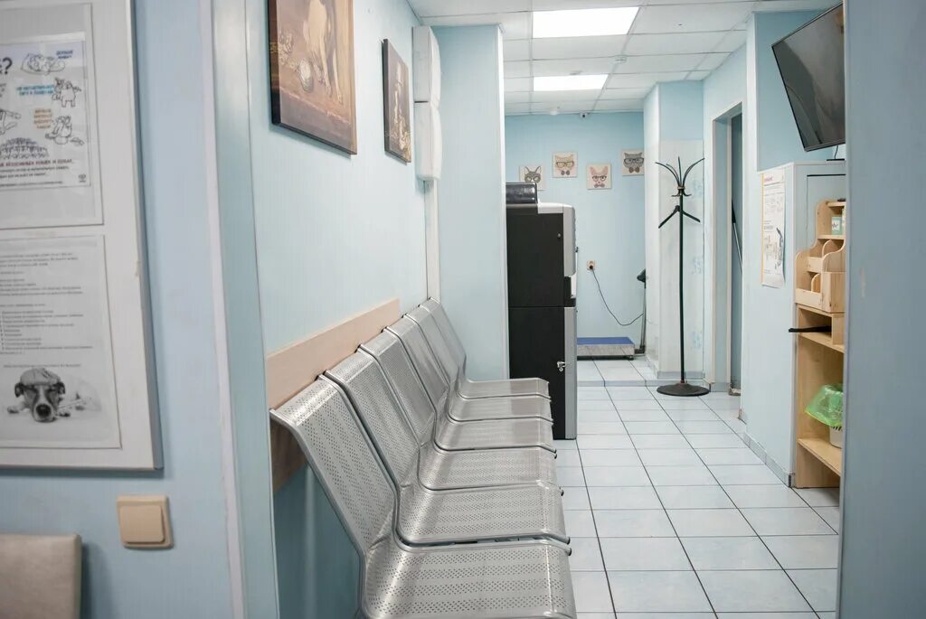 AlisaVet, veterinary clinic, Moscow, Vitte Alley, 2 - Yandex Maps