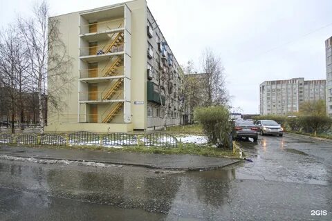 Пушкинский сургут