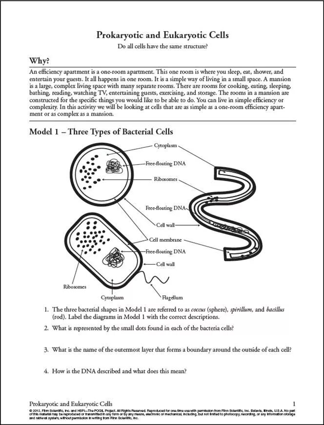 Cell Biology Worksheet. Biology Worksheets. Worksheets(1).Cells(i, 1). Types of eukaryotic Cells Worksheet. Worksheets cells