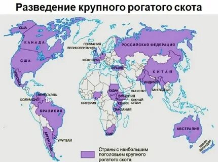 Тип страны по структуре экономики индия