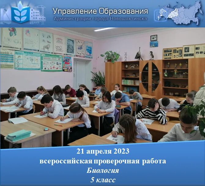 ВПР по биологии 5 класс профессии. ВПР по биологии 5 класс 2023. ВПР 4 класс 2023. Что такое проект в школе 4 класс. Впр био 8