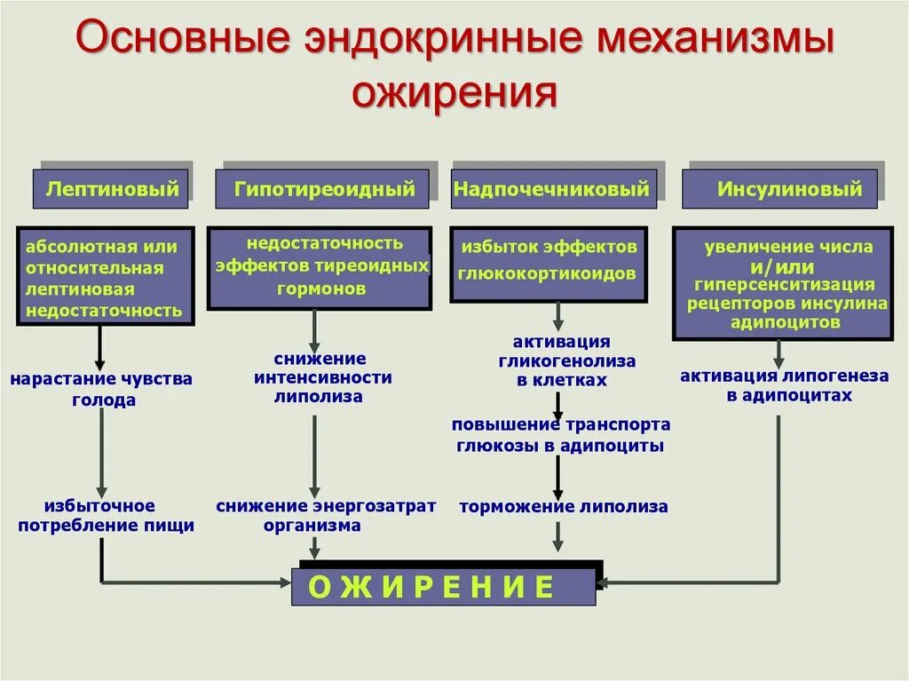 Эндокринные нарушения это. Механизмы развития ожирения патофизиология. Причины и патогенетические механизмы эндокринных форм ожирения. Механизм развития эндокринного ожирения. Метаболический механизм ожирения патофизиология.