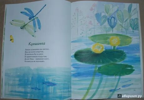 Упруго песня