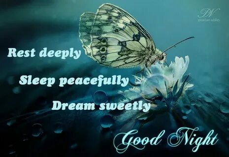 Dream sweet in sea major