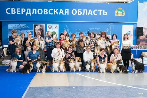 Эксперт класса