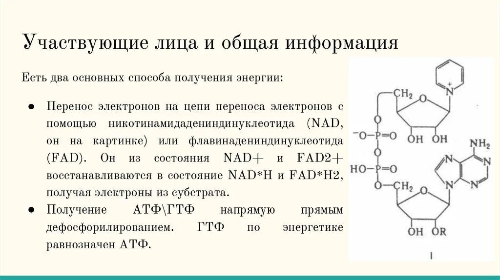 Атф состоит из остатков. Препараты АТФ список. Препараты АТФ список группы. Дезоксирибо аденозинтрифосфат. Перенос АТФ.