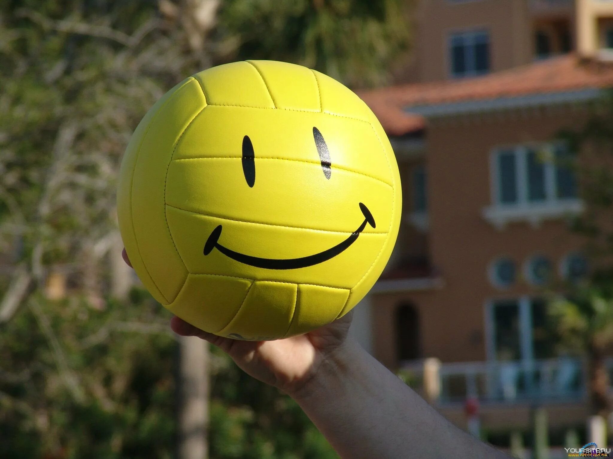 Разноцветные мячики. Японский шар с лицом. Оригинальный веселый мячик. Смешной мяч. Игрушка для собак wobble wag giggle.