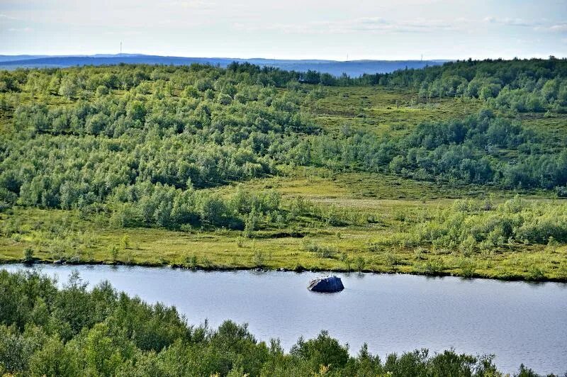 Рогозеро архангельская область. Озеро рогозеро. Озеро рогозеро мурманск на карте. Озеро рогозеро. Рогозеро мурманск.