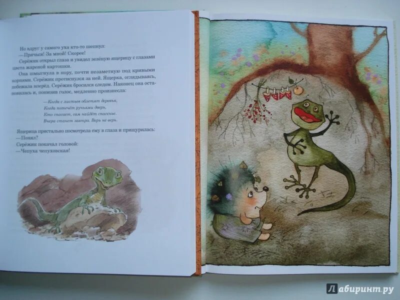 Еж сереж бусти