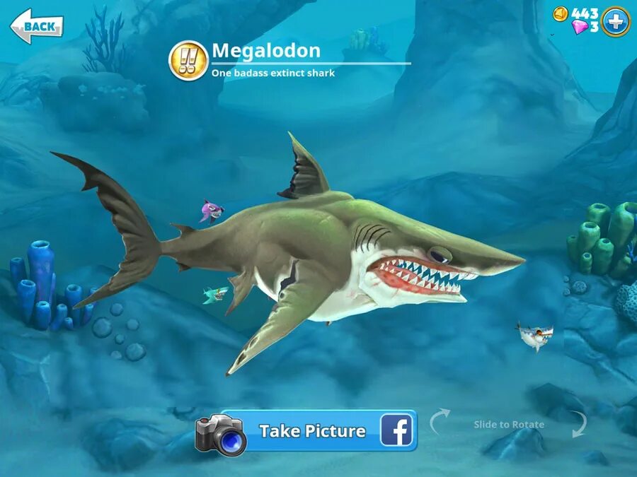 Hungry shark world деньги и кристаллы. Megalodon hungry Shark. Акула игра hungry Shark. Акулы из игры hungry Shark World. Акула из Хангри Шарк.