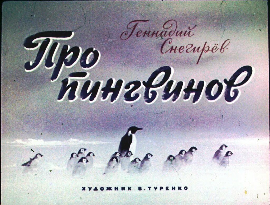 Пингвины Снегирев любопытные. Чтение рассказов г. Снегирева «про пингвинов».. Пересказ рассказа г снегирева про пингвинов