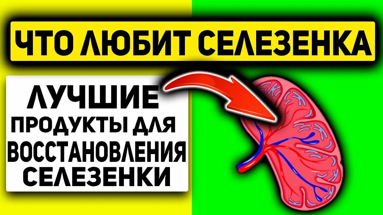 Селезенка едят. Продукты полезные для селезенки. Продукты для печени и селезенки. Продукты земли полезные для селезенки.