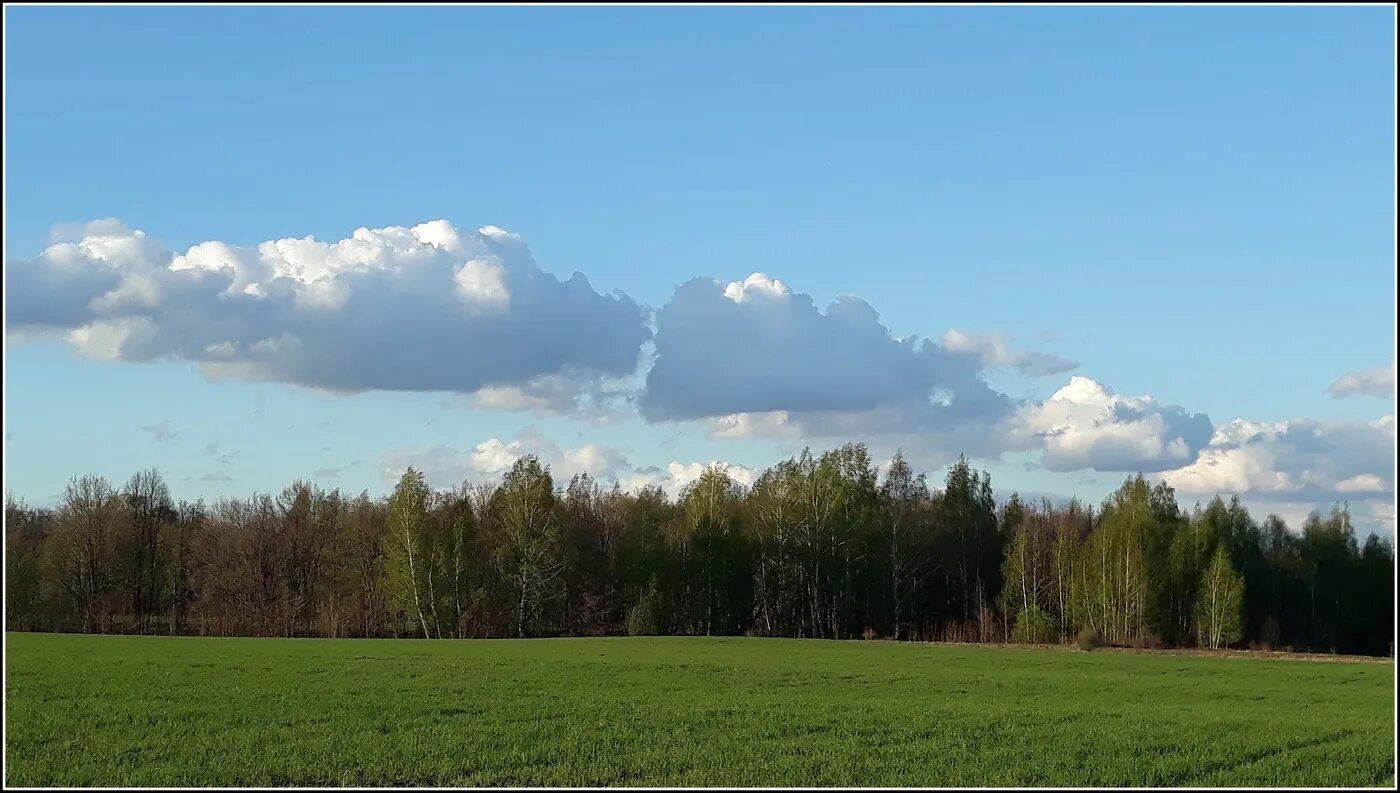 Автор облака плывут облака. Фотографии облаков. Фото природы России без облаков.