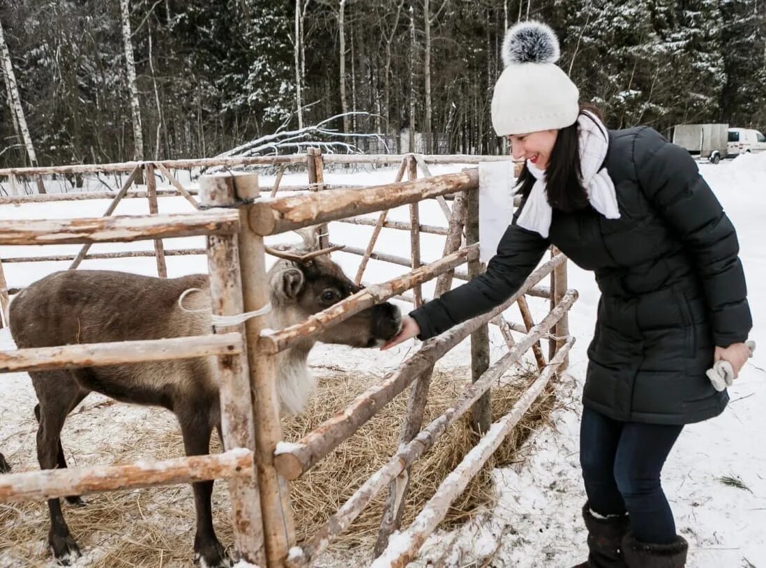 кочевник в хотьково этнопарк кочевник. экоферма кочевник хотьково. ферма хотьково. ферма хотьково. ферма хотьково.