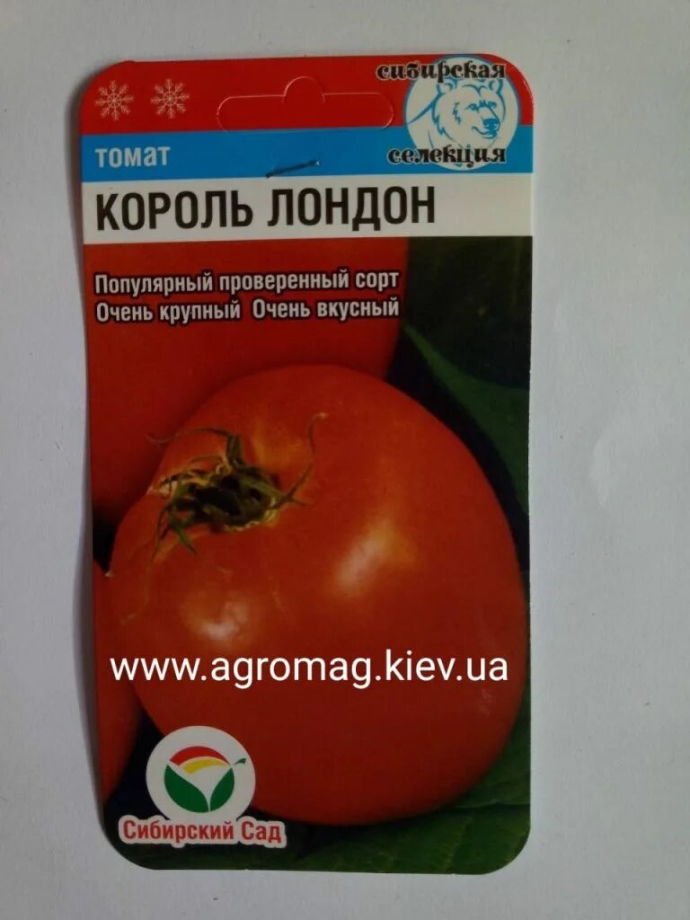 Томат женечка сибирский сад. Семена томат король лондона. Томат король лондон. Томат король лондон. Семена томата "король лондона" сибирская селекция.