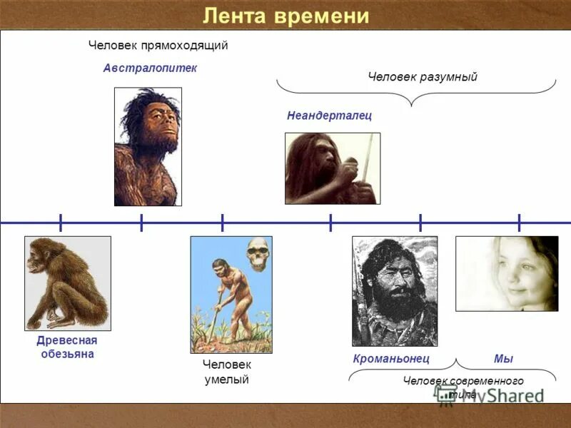 Конспект урока становление человека. Неандерталец человек разумный таблица. Австралопитек человек умелый человек прямоходящий неандерталец. Человек разумный, прямоходящий, австралопитек. Древний человек и разумный человек.