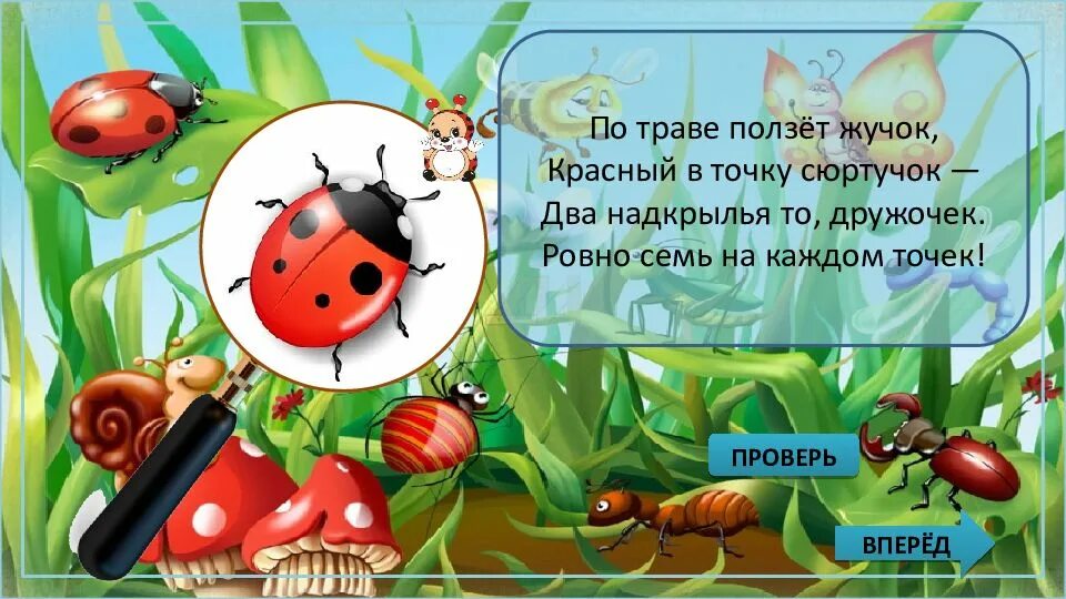 Программы жучки