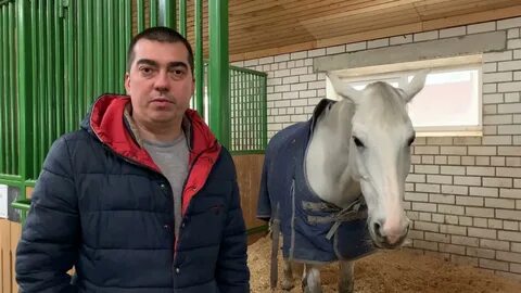 Ветеринар посоветуйте
