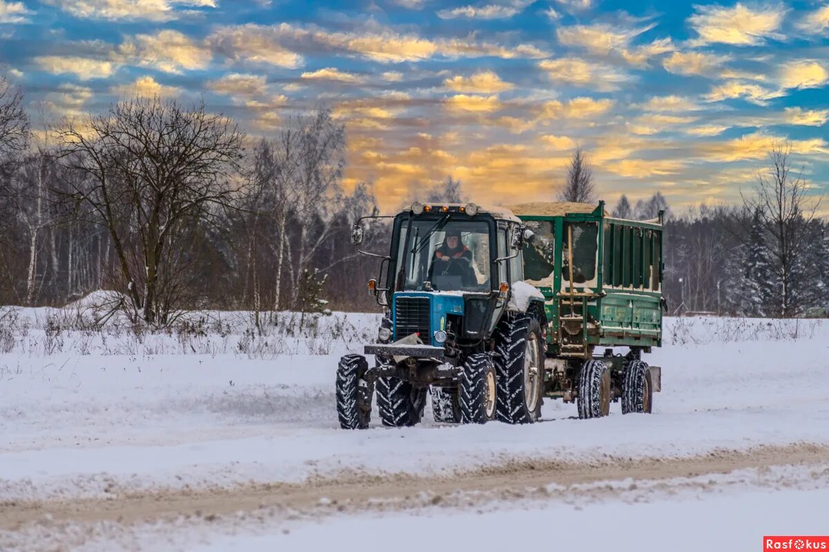 по полям. ехал трактор по дороге. трактор настоящий. тракторист едет по полю. ехал трактор по дороге.