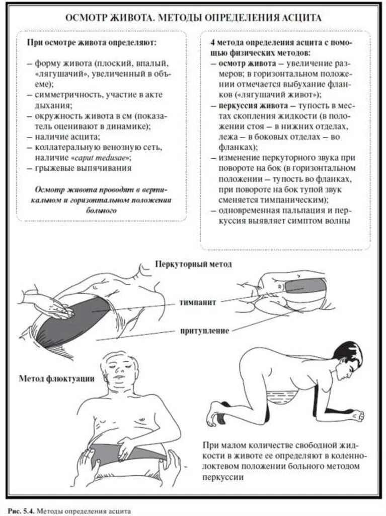 Как осматривать живот