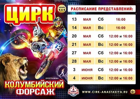 Расписание цирка в тольятти