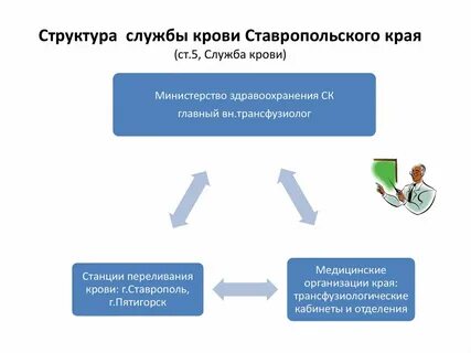 Службы края
