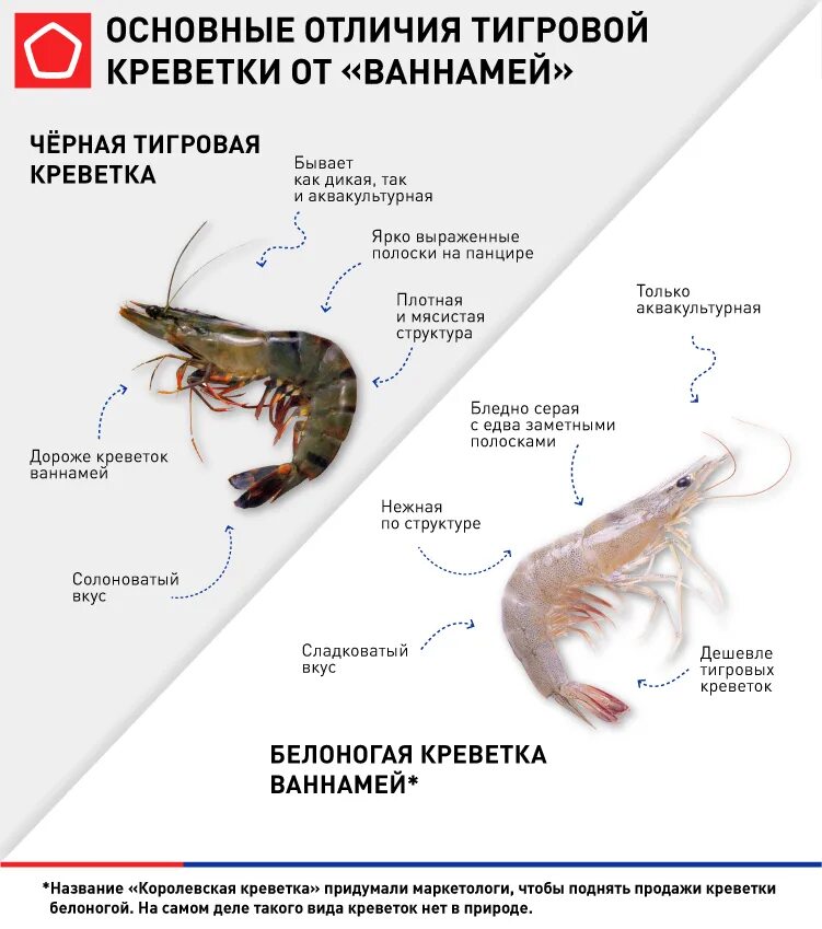 Размеры креветок таблица