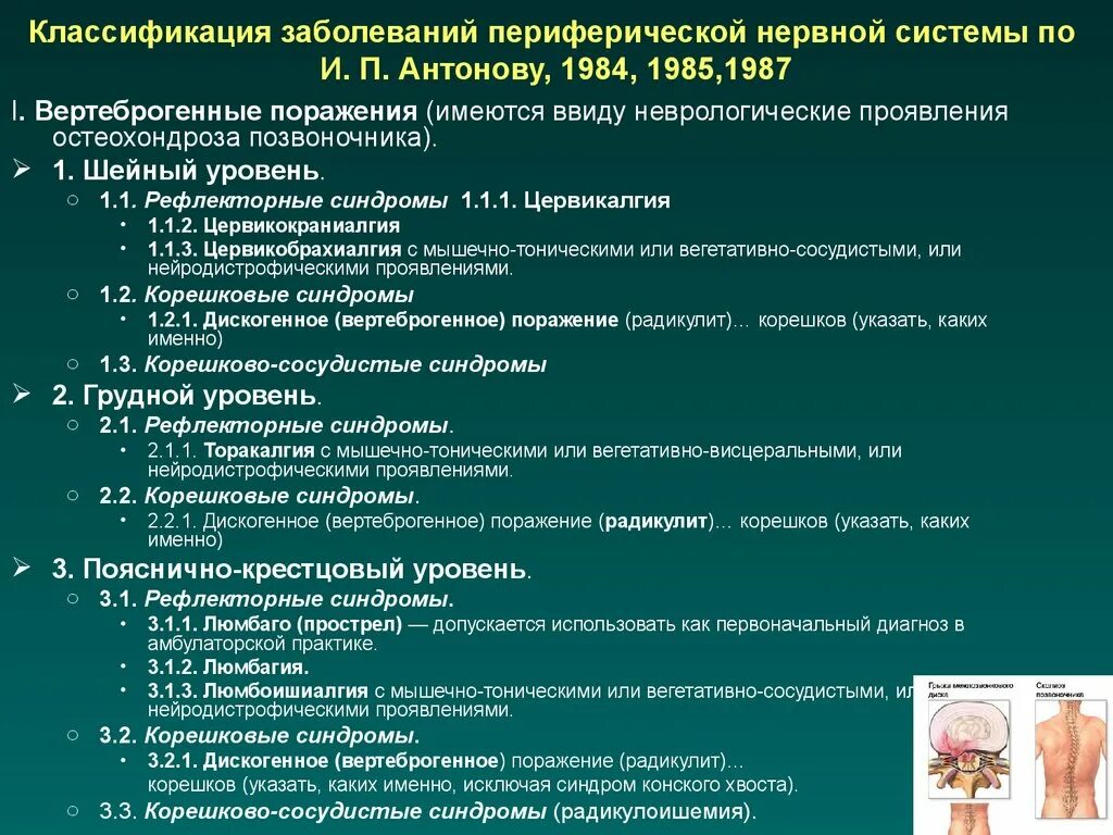 Симптомы заболеваний нервов. Классификация вертеброгенных заболеваний периферической нервной. Хронические заболевания периферической нервной системы перечень. Синдромы поражения периферической нервной системы. Синдромы при заболеваниях периферической нервной системы.