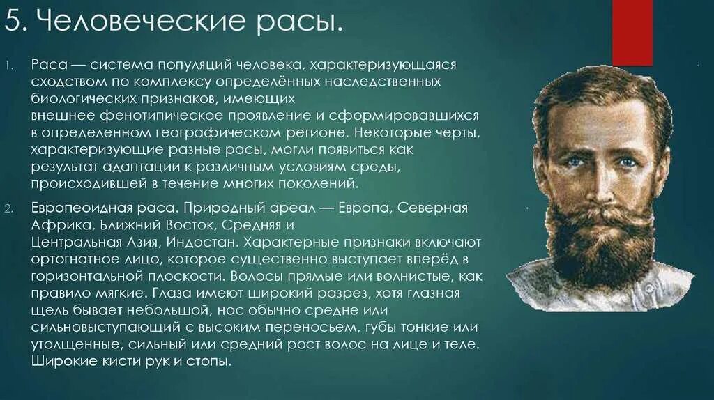 Европеоидная раса. Информация о европеоидной расе. Человеческие расы. Доклад о расах.