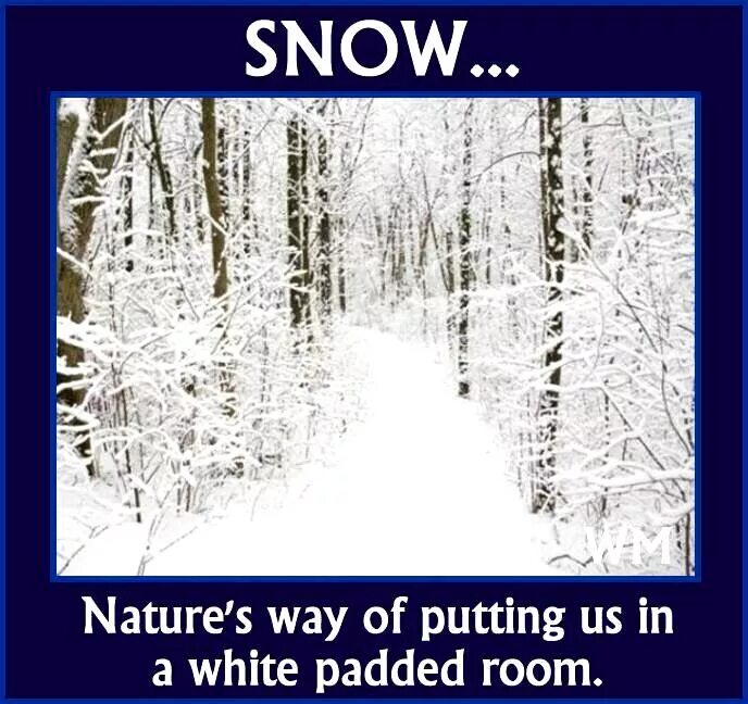 It snows or it is snowing. Холод зима юмор. snowing cold weather. it is snowing. quotes about snow.