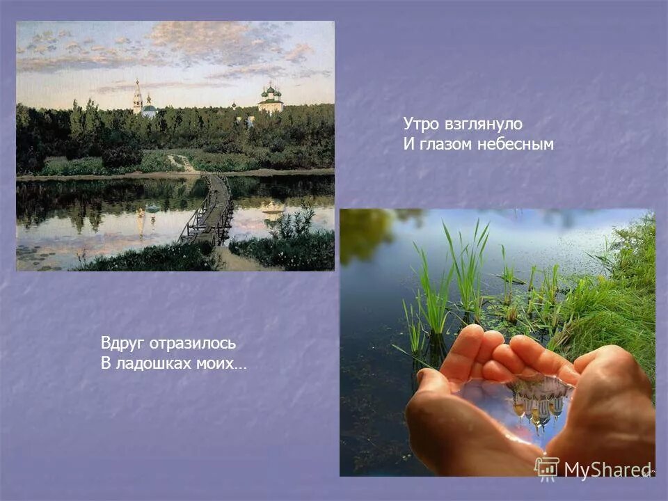 рассвет летом. обезьянка перед зеркалом. зеркало и обезьяна. на восходе солнца. природа солнце.