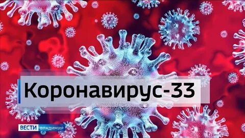 Заболеваемость во владимире