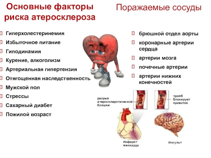 Фактор развития гипертонии. Гиперхолестеринемия фактор риска атеросклероза. Факторы риска развития артериальной гипертензии. Факторы риска гипертонической болезни атеросклероз. Атеросклероз при артериальной гипертензии.