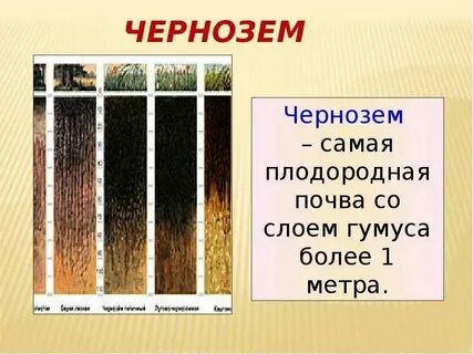 3 самые плодородные почвы