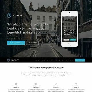 Demo wp