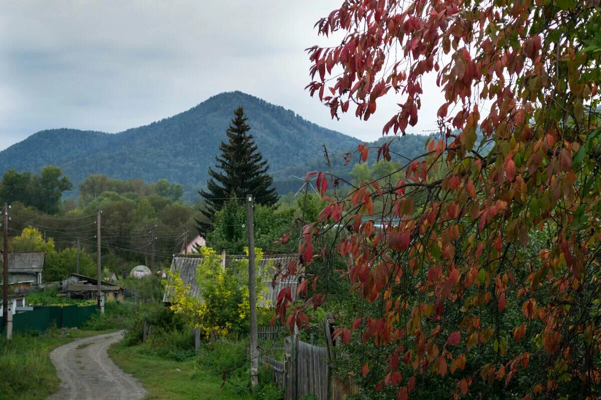 Гисметео алтайский район село алтайское. Село Алтайское. Алтайский край Алтайский район село Алтайское. Население село Алтайское Алтайского района. Полодово село Алтайское.