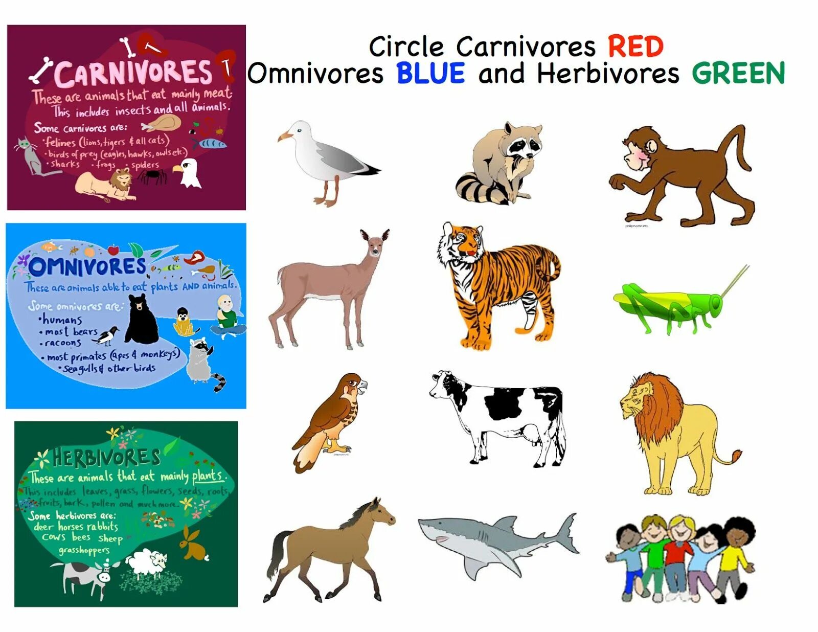 Carnivore перевод. Herbivore животные. Carnivore Herbivore. Herbivores Carnivores and Omnivores. Herbivores все животные на английском.