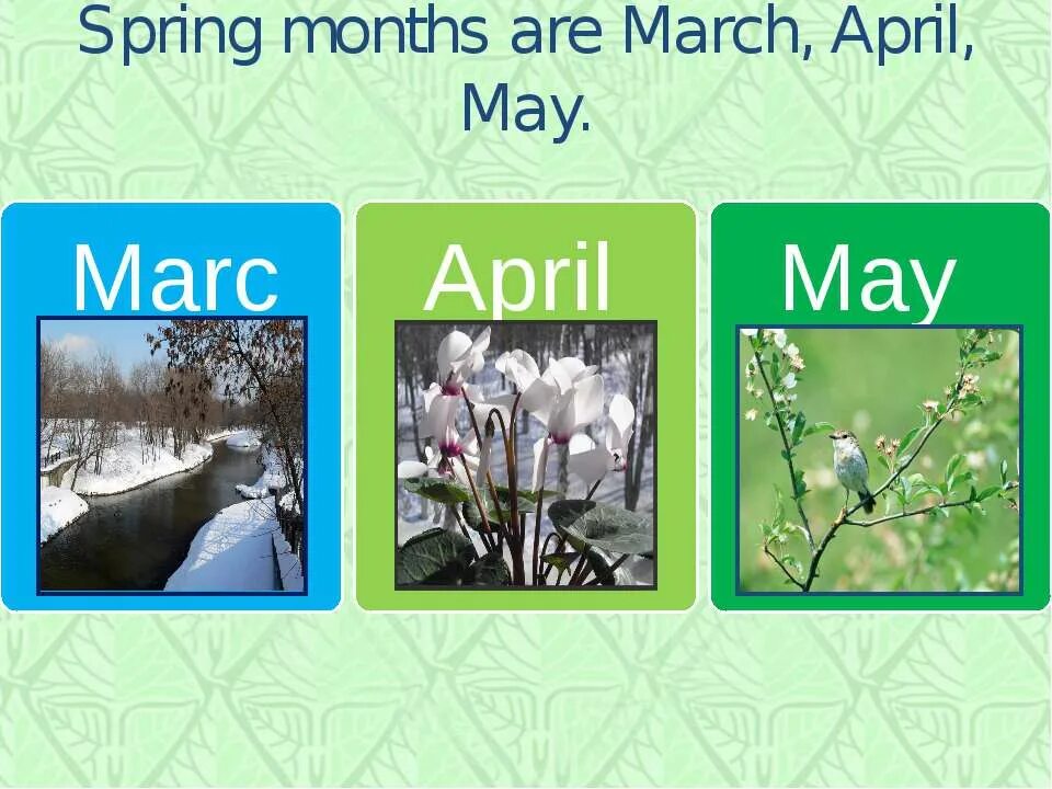 Весенние месяцы на английском. Месяца весны на английском.
