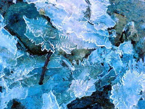 Тонкий лед на лужах. Тонкий тонкий ледок. Тонкий тонкий ледок. Тонкий ледок. Тонкий тонкий ледок.
